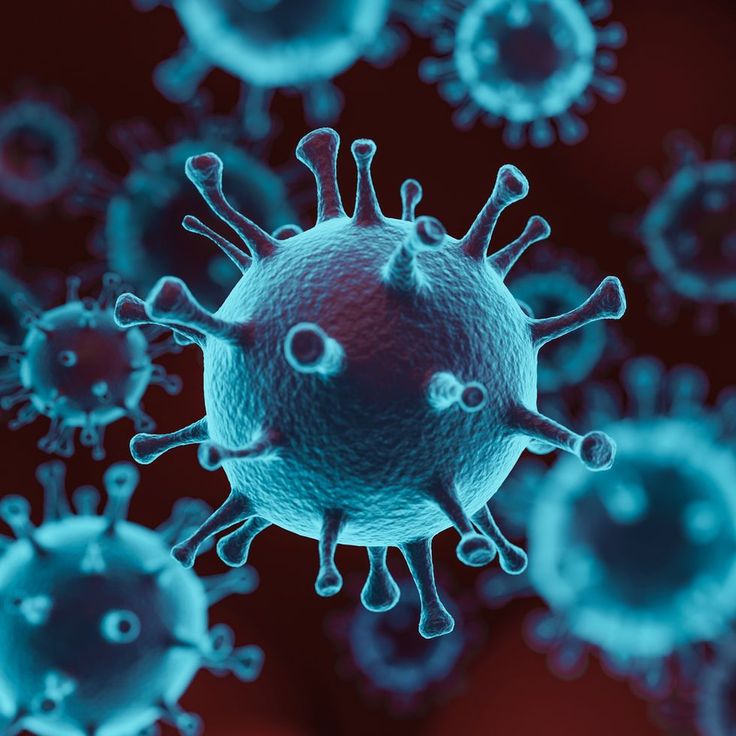 Viruses in Water