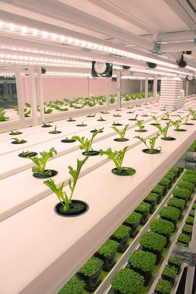 Sustainable Agriculture & Vertical Farming