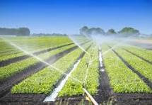Farming